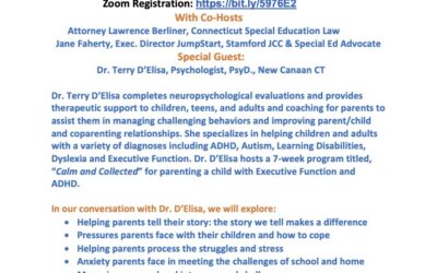 POSTPONED: Finding Your Voice as a Parent Webinar: Supporting Parents of Special Needs Children
