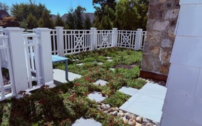 GreenRoof: A Sustainable Landscape Option – With Sheri Forster